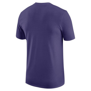 Air Jordan NBA Charlotte Hornets Team 31 Essentials T-Shirt ''Purple''