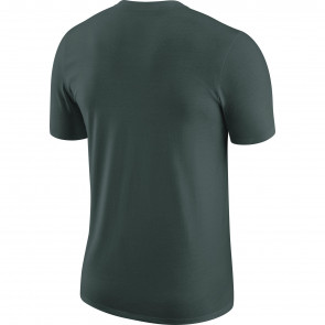 Nike NBA Boston Celtics Chrome Logo T-Shirt ''Pro Green''