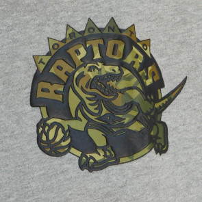M&N NBA Toronto Raptors Green Camo Pants ''Grey''