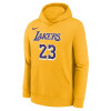 Nike NBA Icon Los Angeles Lakers LeBron James Kids Hoodie ''Amarillo''