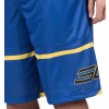 UA SC30 Pick and Roll Shorts