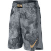 Nike Dry Lebron Shorts