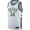 Nike NBA Giannis Antetokounmpo Milwaukee Bucks Icon Swingman Jersey ''Home''
