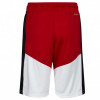 Air Jordan Jumpman Layup Shorts ''Gym Red''