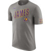 Nike Los Angeles Lakers James T-Shirt ''Grey Heather''