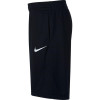 Nike Dry Shorts ''Black''