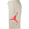 Jordan Sportswear Jumpman Air Graphic Fleece Shorts