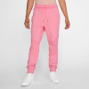 Air Jordan Wings Pants ''Digital Pink''