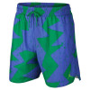 Air Jordan Poolside Shorts ''Aloe Verde/Green Strike''