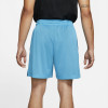 Nike Dri-FIT x Space Jam: A New Legacy Reversible Shorts ''Tune Squad/Goon Squad''