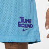 Nike Dri-FIT x Space Jam: A New Legacy Reversible Shorts ''Tune Squad/Goon Squad''