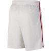 Nike NBA Philadelphia 76ers City Edition Swingman Shorts ''White''