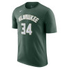 Nike NBA Milwaukee Bucks Giannis Antetokounmpo T-Shirt ''Fir''