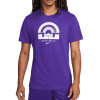 Nike Dri-FIT Lebron Crown Graphic T-Shirt ''Court Purple''