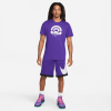 Nike Dri-FIT Lebron Crown Graphic T-Shirt ''Court Purple''