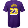 Nike Los Angeles Lakers LeBron James T-Shirt ''Court Purple''