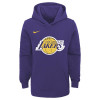 Nike Los Angeles Lakers Hoodie ''Court Purple''
