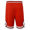 Nike NBA Chicago Bulls Icon Edition Kids Shorts ''Red''