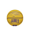 Wilson NBA Player Icon Mini Basketball ''LeBron James'' (3)